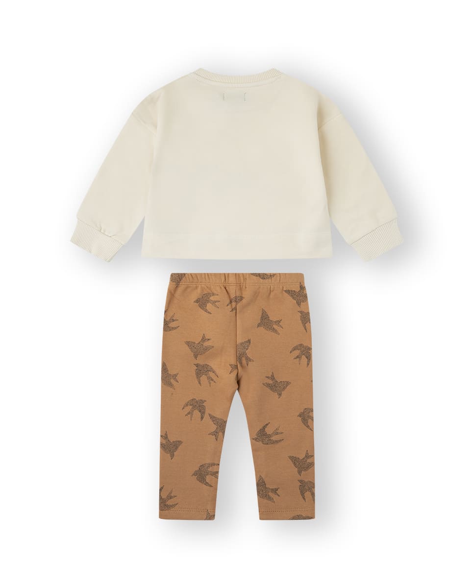Conjunto golondrina crudo Canada House